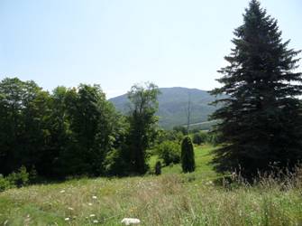 View of Mt Ascutney